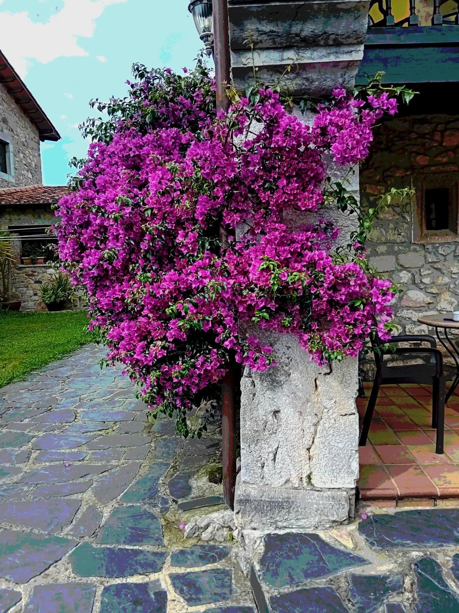 Gran Pedroso De Llanes Villa Exterior photo
